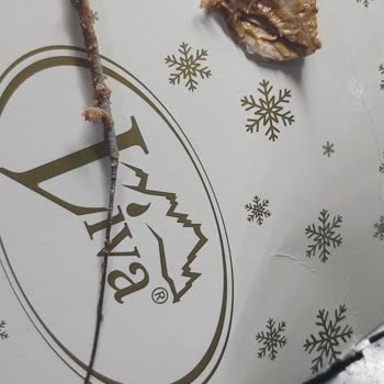 Liva Pastanesi (livapastacilik.com) Liva Pastanesinden Alınan Pastanın İçinden Çıkanlar