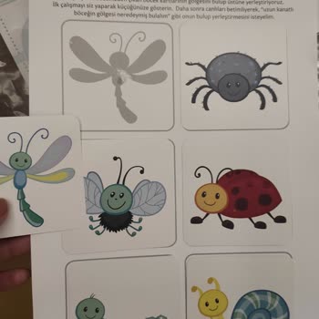 Bardabas Kutunun İçinden Bebek Aktivitesi Çıktı