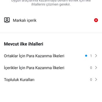 Instagram Köklü Bir Mevcudiyet