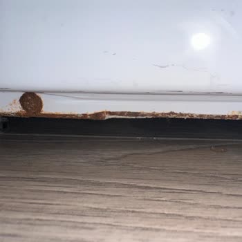 Samsung Çamaşır Makinesi Paslanma