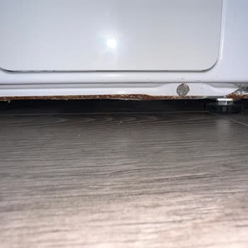 Samsung Çamaşır Makinesi Paslanma