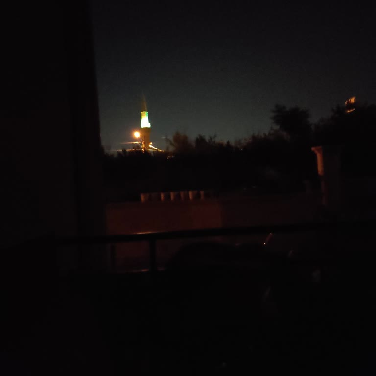 Kepez Belediyesi Sütçüler 6529. Sokak'ta Sivri Sinek Sorunu