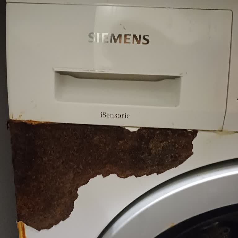 Siemens Ev Aletleri Çamaşır Makinesi Paslanması