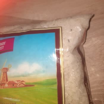 Duru Pirinç İçindeki Böcekler