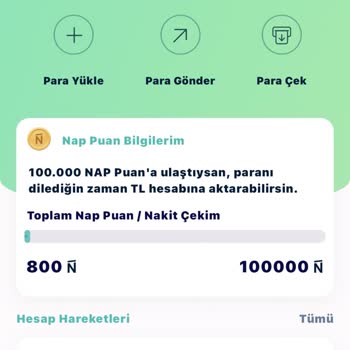 Napolyon.com Para Yükledim Gelmedi