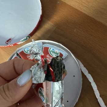 Pınar Et ve Süt Bozuk Üçgen Peynir Şikayeti