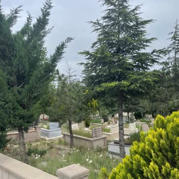 ABB - Ankara Büyükşehir Belediyesi Gölbaşı Mezarlığına Ağaç Dikmek Neden Yasak