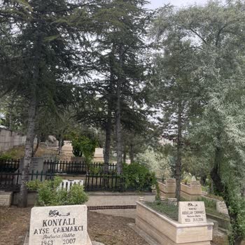 ABB - Ankara Büyükşehir Belediyesi Gölbaşı Mezarlığına Ağaç Dikmek Neden Yasak