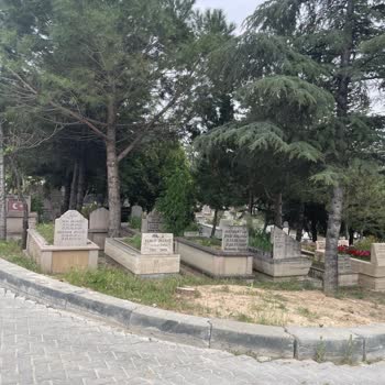 ABB - Ankara Büyükşehir Belediyesi Gölbaşı Mezarlığına Ağaç Dikmek Neden Yasak