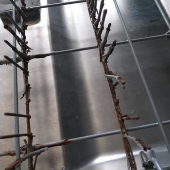 Arçelik Bulaşık Makinesi Alt Sepet