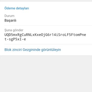 Telegram Ve Binance Yanlış Adrese Gönderim