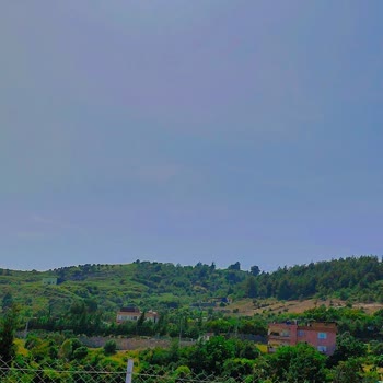 BaşarıBet Paramı Çekemiyorum Geri Almak İstiyorum