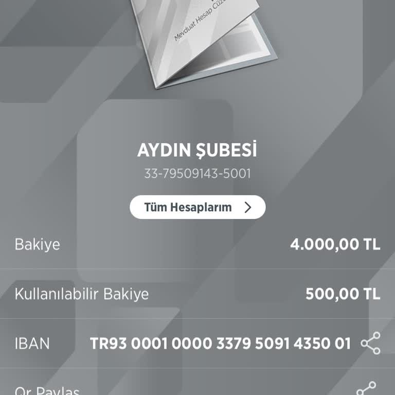 Ziraat Bankası Kullanabilir Bakiye Hesap Bakiyesinden Az