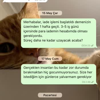 Home Sneakers Güvenilmezliği Ve Oyalama Taktiği