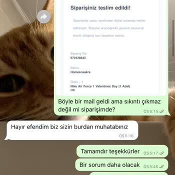 Home Sneakers Güvenilmezliği Ve Oyalama Taktiği