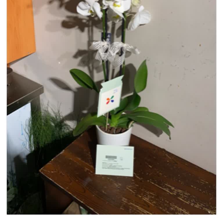 ÇiçekSepeti Anneler Günü Kabusu: Teslim Edilmeyen Çiçek Ve Ulaşılamayan Yetkililer!