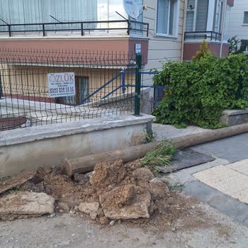 Türk Telekom Altyapı İnternet Arızası