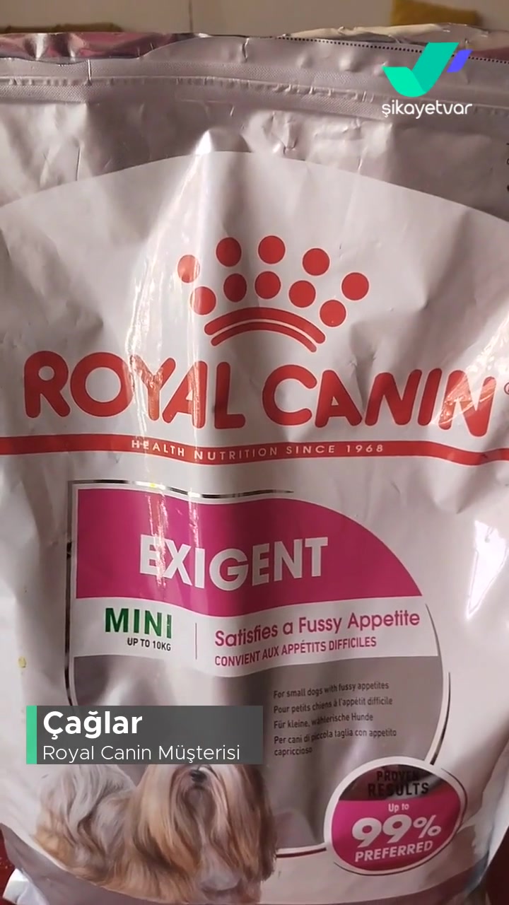Royal Canin Exigent Mini Alerji Ve Huzursuzluk Yapıyor videonun kapak resmi