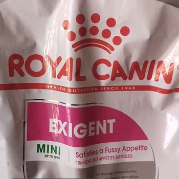 Royal Canin Exigent Mini Alerji Ve Huzursuzluk Yapıyor