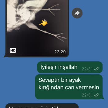 Univet Hayvan Hastanesi Paracı Fahiş Fiyatları İle İnsanların Saf Hayvan Sevgisini Kullanıyor