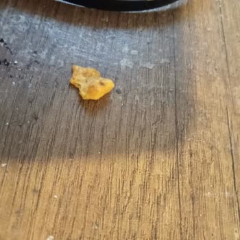Doritos İçinden Çıkan Parça Dişimi Kıracaktı