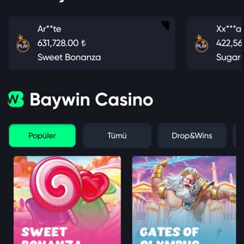 Baywin Sitesinde Kazançlarım Haksızca Silindi