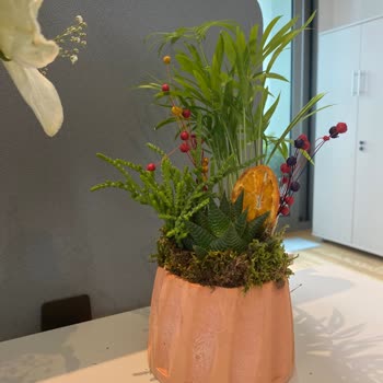 Taze Çiçek (tazecicek.com) Görselle Uyuşmayan Sipariş Ve İlgisiz Müşteri Hizmetleri