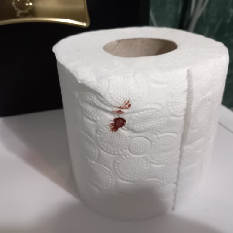 Familia Tuvalet Kağıdında Kan Lekesi