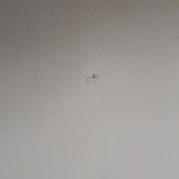 Modalife'tan Aldığım Ürünler Suntalam Ürünler