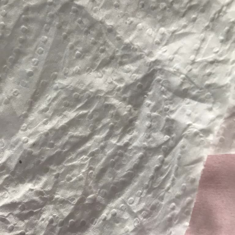 Papia Kağıt Havlusunda Küçük Küçük Lekeler