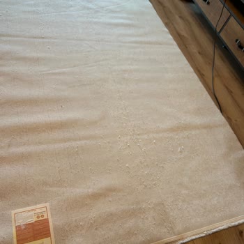 Deniz & Ortem Halı Yıkama Halılarımı Çöp Yaptı