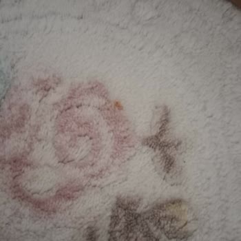 Hijyen Halı Yıkama (Kırşehir) Hijyenle Alakası Yok