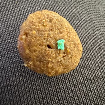 I Found Plastic Contaminan in Farmina N&D Dog Food