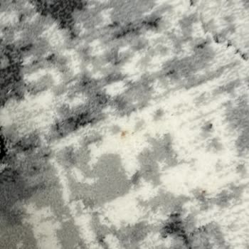 Aliyan Halı Yıkama Hizmetinde Yaşadığım Sorunlar Ve Memnuniyetsizlik