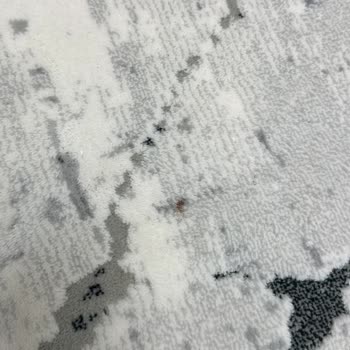 Aliyan Halı Yıkama Hizmetinde Yaşadığım Sorunlar Ve Memnuniyetsizlik