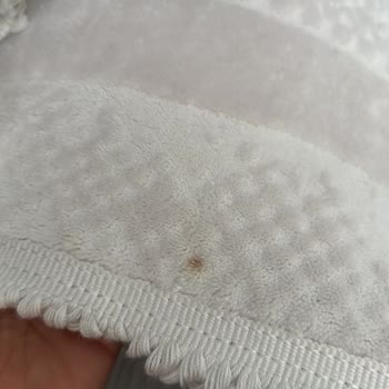 Aliyan Halı Yıkama Hizmetinde Yaşadığım Sorunlar Ve Memnuniyetsizlik