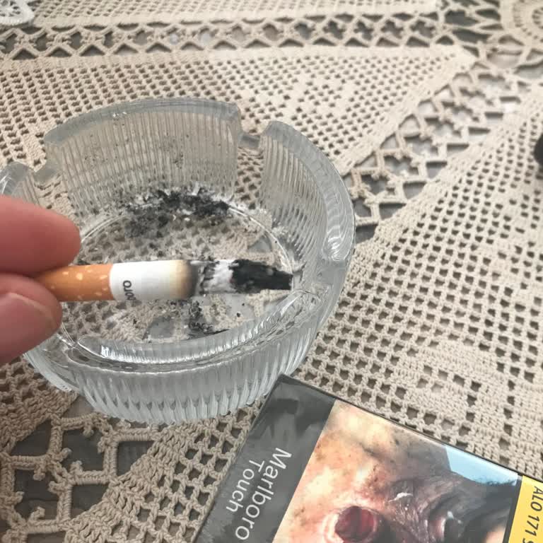 Marlboro Touch İçerisindeki Çer Çöp