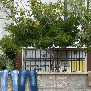 Kuryenet Kargo Teslim Sorunu