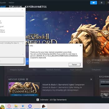 Mount Blade Bannerlord 2 Destek Ekibi İlgisiz!