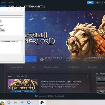 Mount Blade Bannerlord 2 Destek Ekibi İlgisiz!