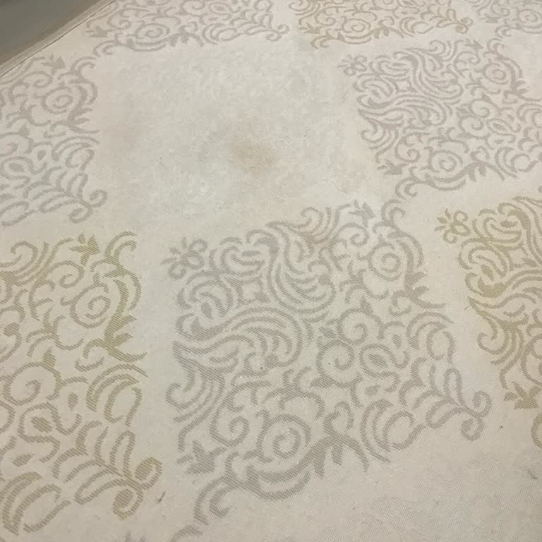 İpek Halı Yıkama (Isparta) Halı Yıkama Vermeyin