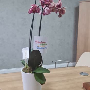 Çiçek Sepeti Ürünlerinin Arkasında Durmuyor.