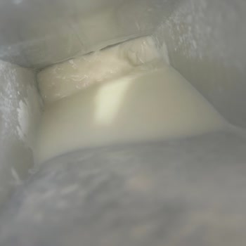 Sek Süt Tarih Problemi Şikayet