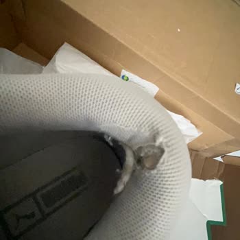 Sneaks Up Deforme Olan Ürün Hakkında