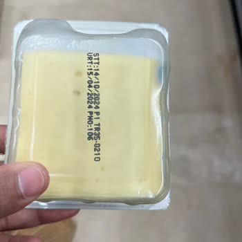 İnan Süt Ürünleri Ambalajı Kapalı Küflenmiş Tost Peyniri