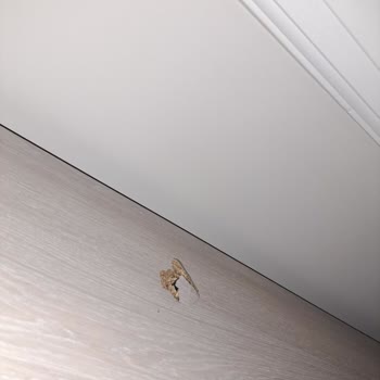 Enza Home'dan Aldığımız Mobilyaların Teslimatında Yaşadığımız Sorunlar