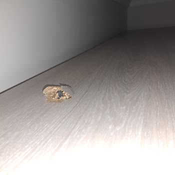 Enza Home'dan Aldığımız Mobilyaların Teslimatında Yaşadığımız Sorunlar