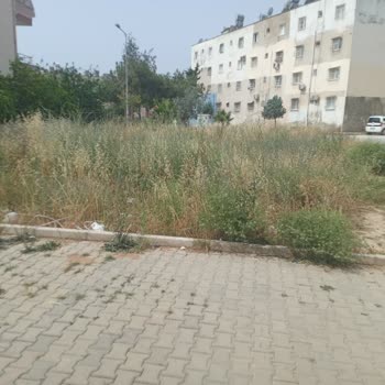 Toroslar Belediyesi Temizlik Yapılmıyor Gereğini Yapılmasını İstiyorum