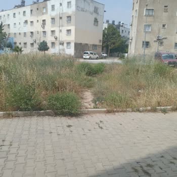 Toroslar Belediyesi Temizlik Yapılmıyor Gereğini Yapılmasını İstiyorum