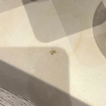 Kahve Dünyası Kurtlu Portakal Suyu